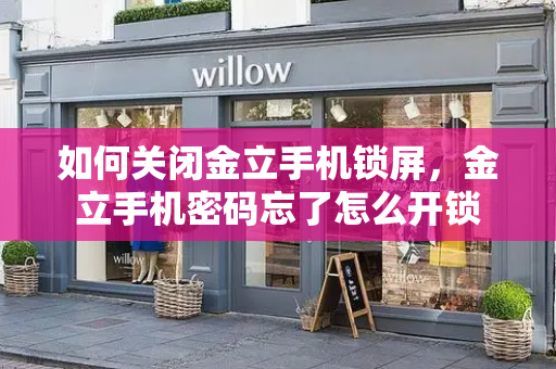 如何关闭金立手机锁屏，金立手机密码忘了怎么开锁-第1张图片-星选测评