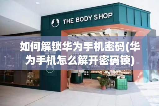 如何解锁华为手机密码(华为手机怎么解开密码锁)-第1张图片-星选测评