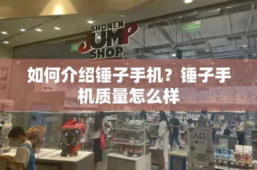 如何介绍锤子手机？锤子手机质量怎么样-第1张图片-星选测评
