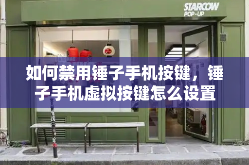 如何禁用锤子手机按键，锤子手机虚拟按键怎么设置-第1张图片-星选测评