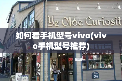 如何看手机型号vivo(vivo手机型号推荐)