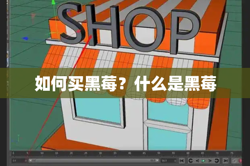 如何买黑莓？什么是黑莓