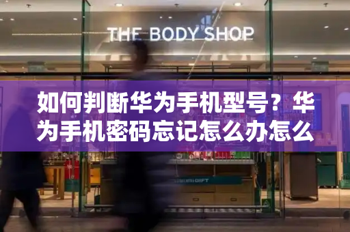 如何判断华为手机型号？华为手机密码忘记怎么办怎么解锁-第1张图片-星选测评