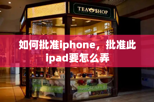 如何批准iphone，批准此ipad要怎么弄-第1张图片-星选测评