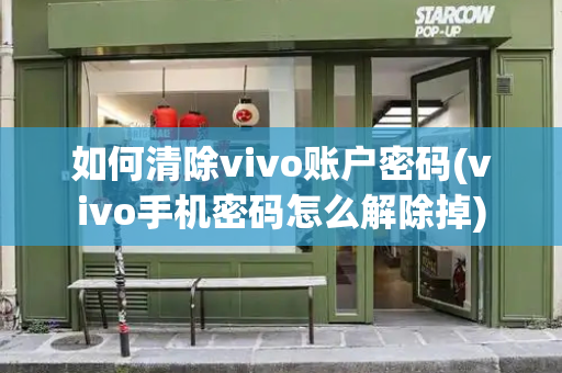 如何清除vivo账户密码(vivo手机密码怎么解除掉)