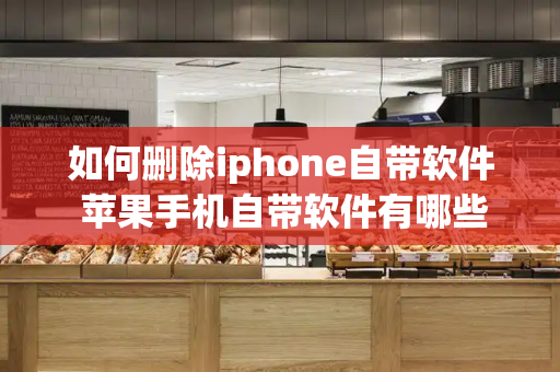 如何删除iphone自带软件 苹果手机自带软件有哪些-第1张图片-星选测评