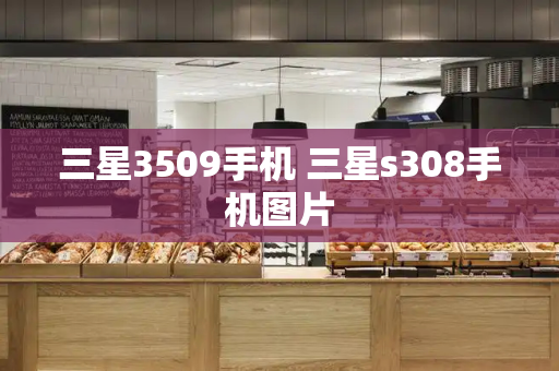 三星3509手机 三星s308手机图片