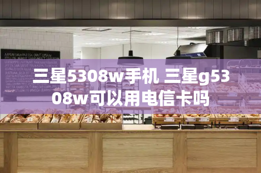 三星5308w手机 三星g5308w可以用电信卡吗-第1张图片-星选测评