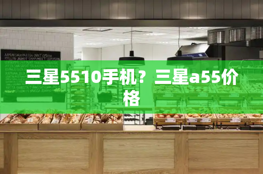 三星5510手机？三星a55价格-第1张图片-星选测评