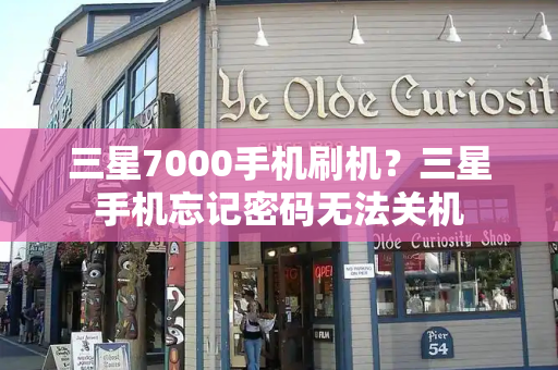 三星7000手机刷机？三星手机忘记密码无法关机-第1张图片-星选测评