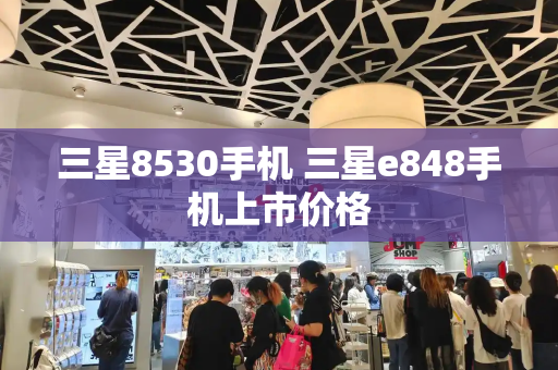 三星8530手机 三星e848手机上市价格-第1张图片-星选测评