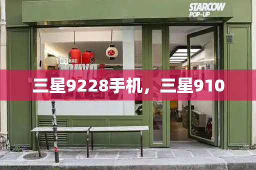 三星9228手机，三星9100-第1张图片-星选测评