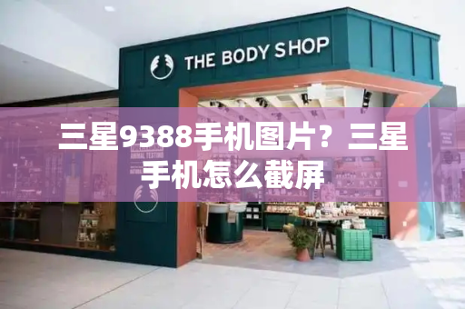 三星9388手机图片？三星手机怎么截屏-第1张图片-星选测评