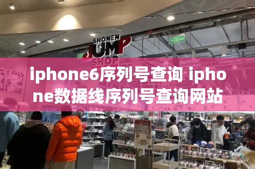 iphone6序列号查询 iphone数据线序列号查询网站-第1张图片-星选测评