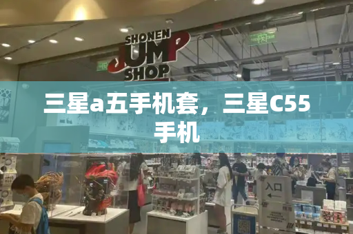 三星a五手机套，三星C55手机-第1张图片-星选测评