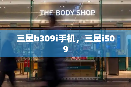 三星b309i手机，三星i509-第1张图片-星选测评
