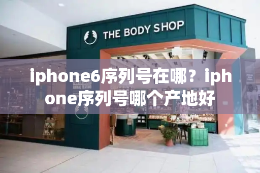 iphone6序列号在哪？iphone序列号哪个产地好-第1张图片-星选测评