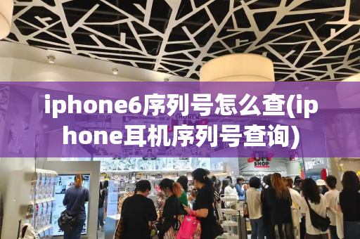 iphone6序列号怎么查(iphone耳机序列号查询)
