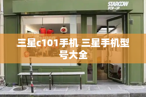 三星c101手机 三星手机型号大全-第1张图片-星选测评