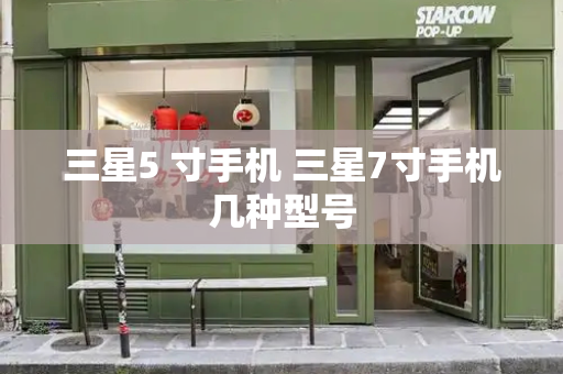 三星5 寸手机 三星7寸手机几种型号-第1张图片-星选测评