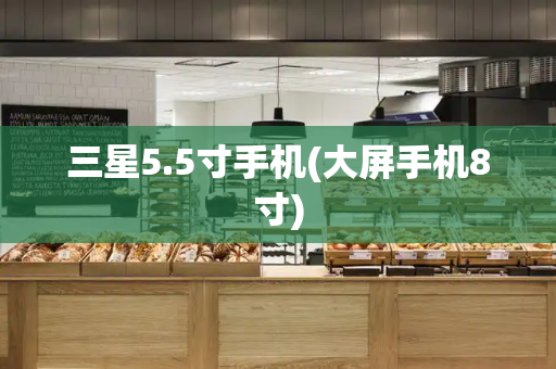 三星5.5寸手机(大屏手机8寸)