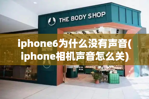 iphone6为什么没有声音(iphone相机声音怎么关)