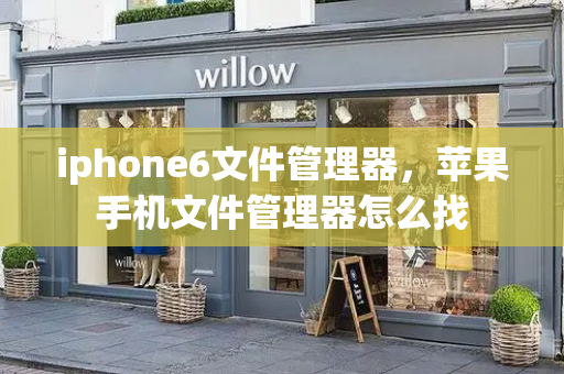 iphone6文件管理器，苹果手机文件管理器怎么找-第1张图片-星选测评