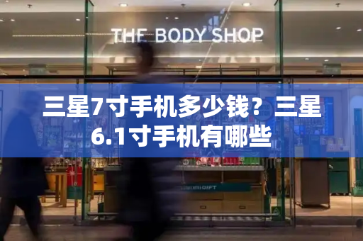 三星7寸手机多少钱？三星6.1寸手机有哪些-第1张图片-星选测评