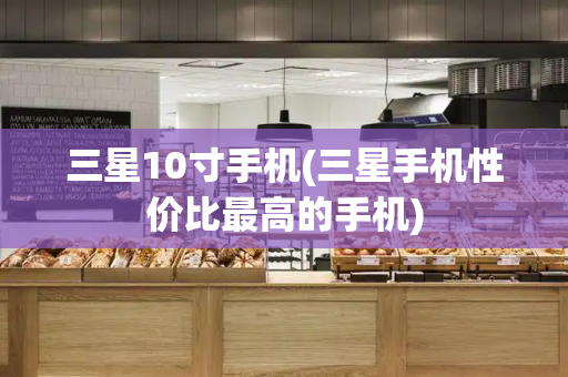 三星10寸手机(三星手机性价比最高的手机)