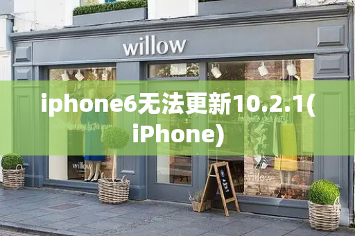 iphone6无法更新10.2.1(iPhone)
