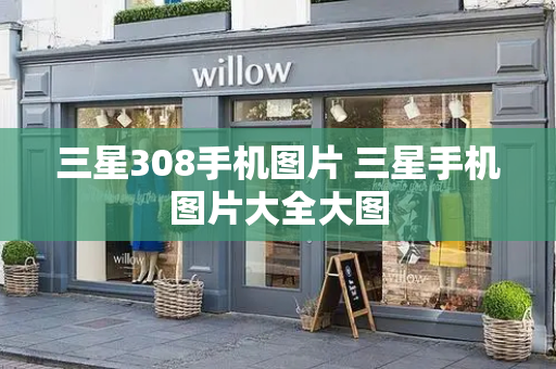 三星308手机图片 三星手机图片大全大图