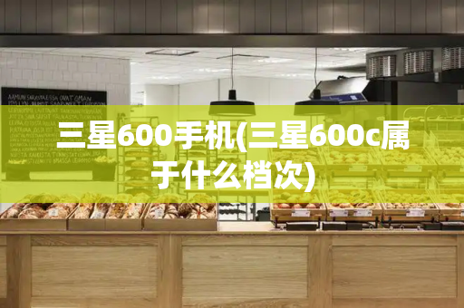 三星600手机(三星600c属于什么档次)