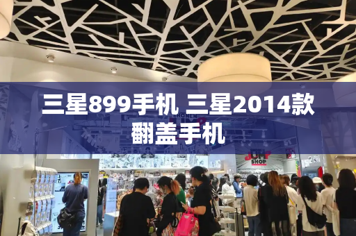 三星899手机 三星2014款翻盖手机-第1张图片-星选测评