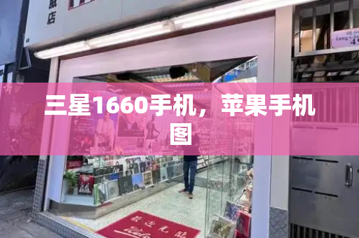 三星1660手机，苹果手机图