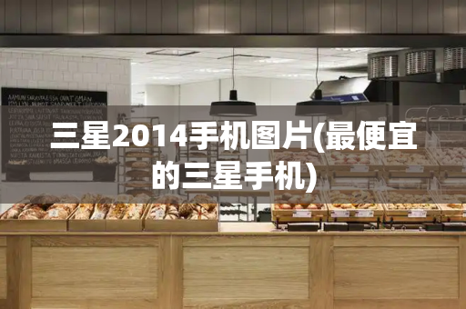 三星2014手机图片(最便宜的三星手机)-第1张图片-星选测评