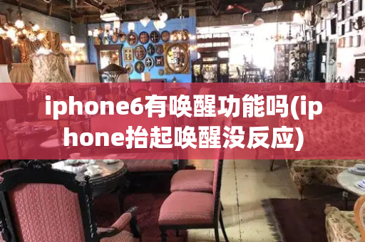 iphone6有唤醒功能吗(iphone抬起唤醒没反应)-第1张图片-星选测评