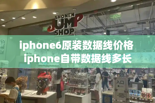 iphone6原装数据线价格 iphone自带数据线多长