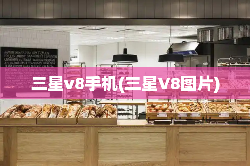三星v8手机(三星V8图片)-第1张图片-星选测评