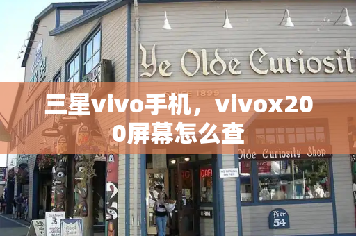 三星vivo手机，vivox200屏幕怎么查-第1张图片-星选测评