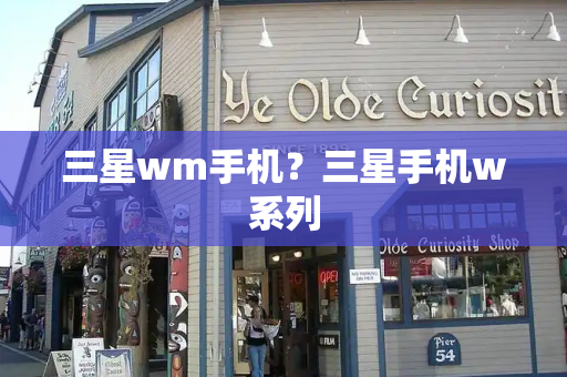 三星wm手机？三星手机w系列