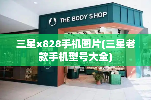 三星x828手机图片(三星老款手机型号大全)