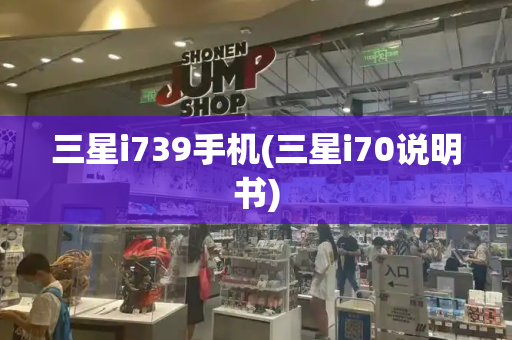 三星i739手机(三星i70说明书)-第1张图片-星选测评