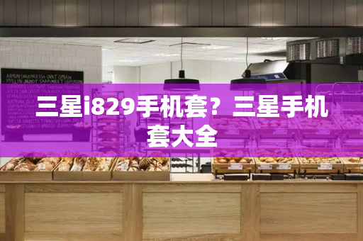 三星i829手机套？三星手机套大全
