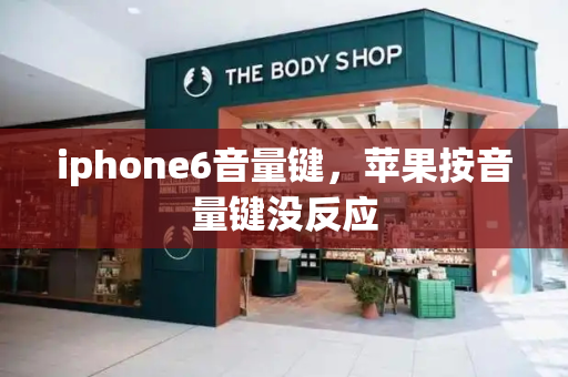 iphone6音量键，苹果按音量键没反应-第1张图片-星选测评
