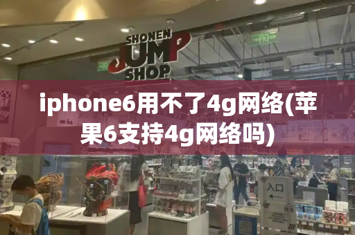 iphone6用不了4g网络(苹果6支持4g网络吗)