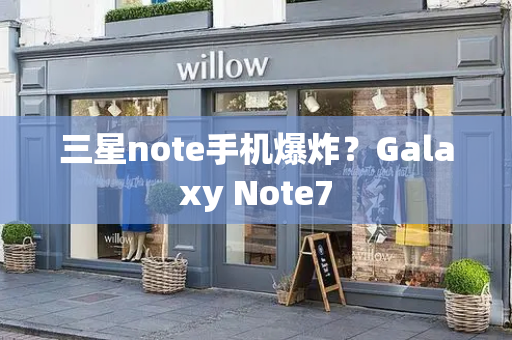 三星note手机爆炸？Galaxy Note7-第1张图片-星选测评