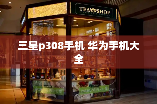 三星p308手机 华为手机大全