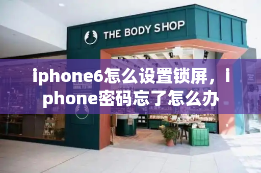 iphone6怎么设置锁屏，iphone密码忘了怎么办-第1张图片-星选测评
