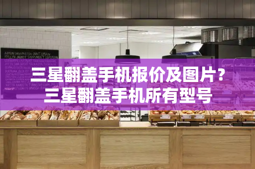 三星翻盖手机报价及图片？三星翻盖手机所有型号-第1张图片-星选测评