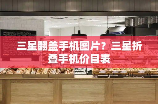 三星翻盖手机图片？三星折叠手机价目表